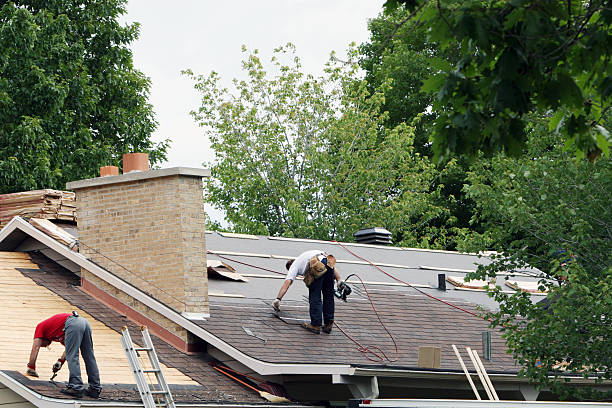 Best Roof Maintenance Services  in Toro Nyon, CA